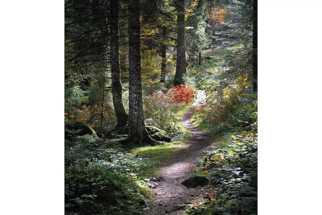 578755-Nicht zugeordnet