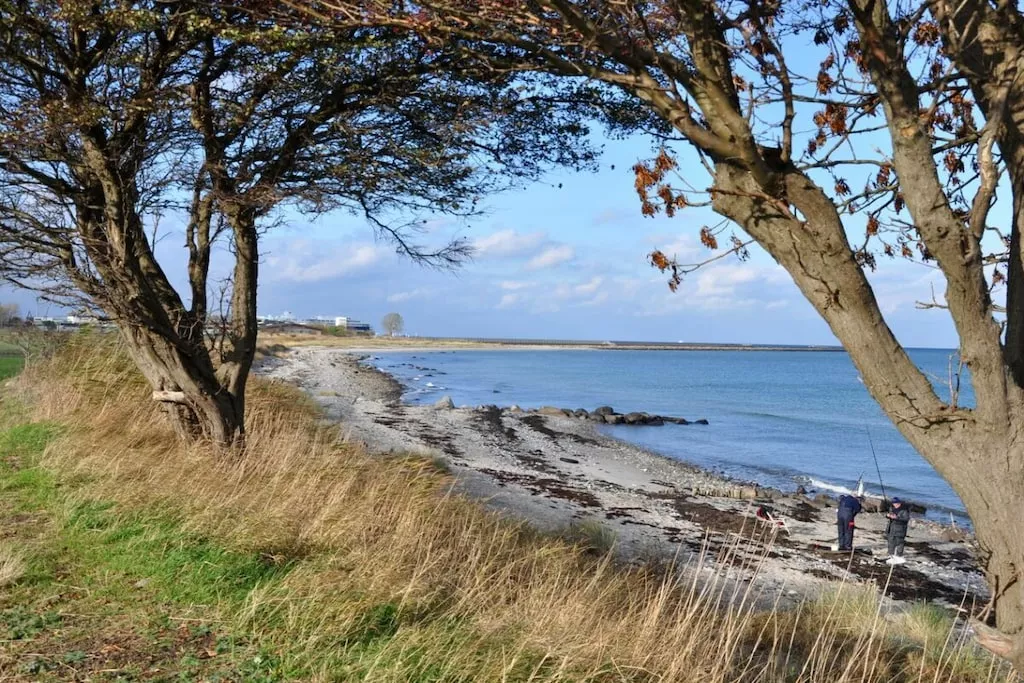 528339-Nicht zugeordnet