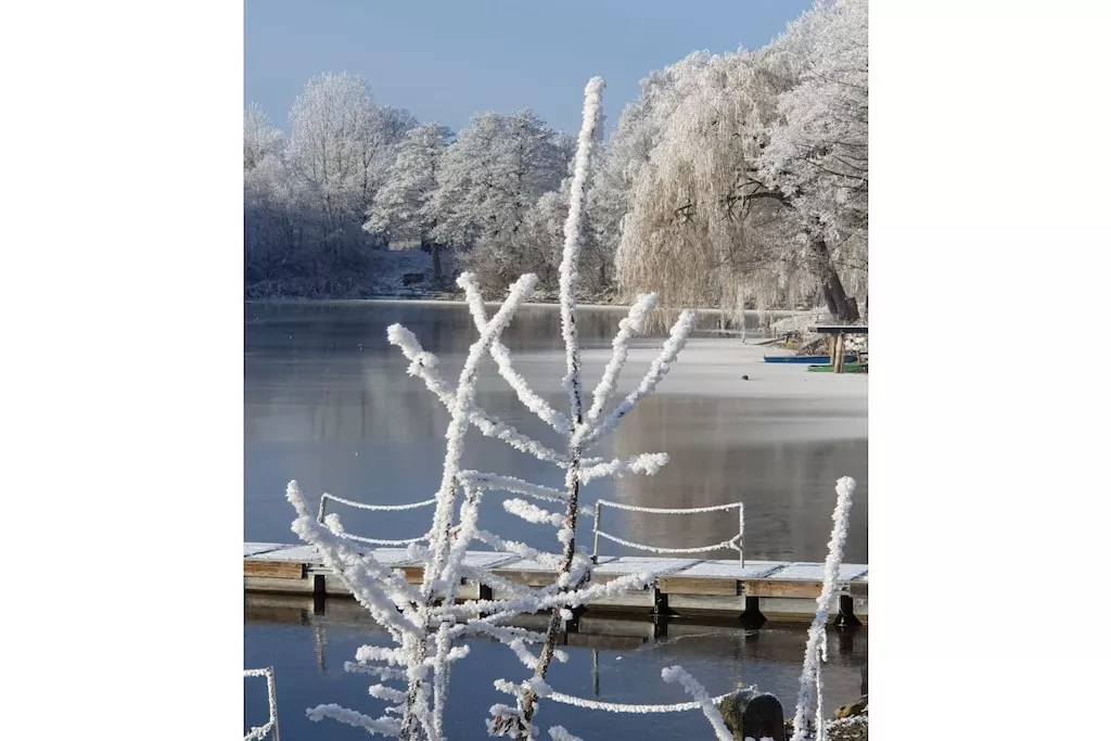 459081-Nicht zugeordnet