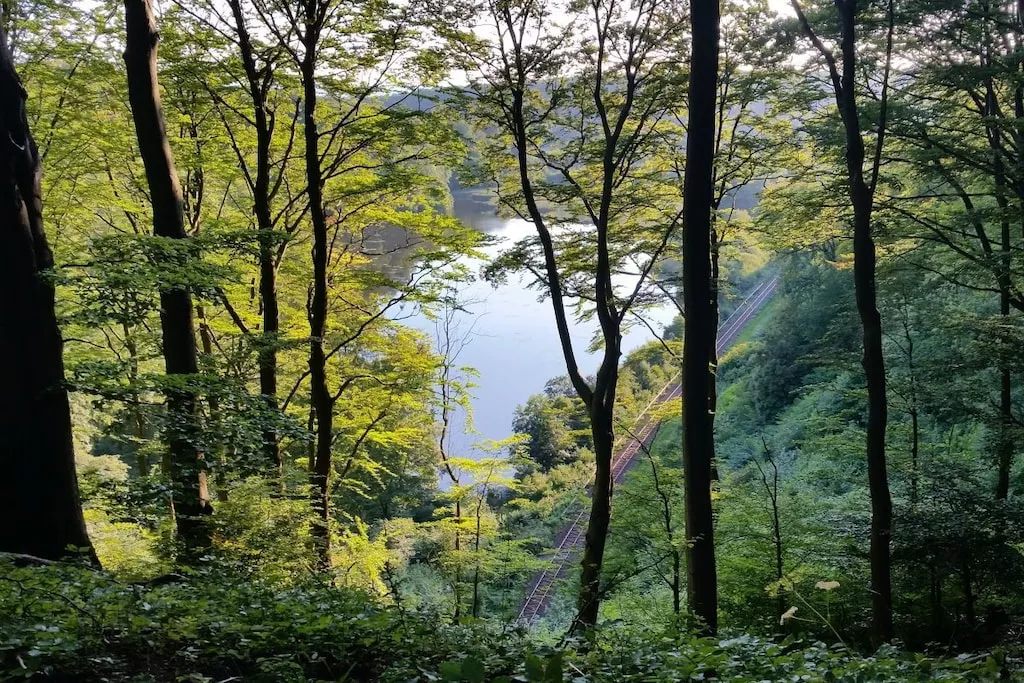 103639-Nicht zugeordnet