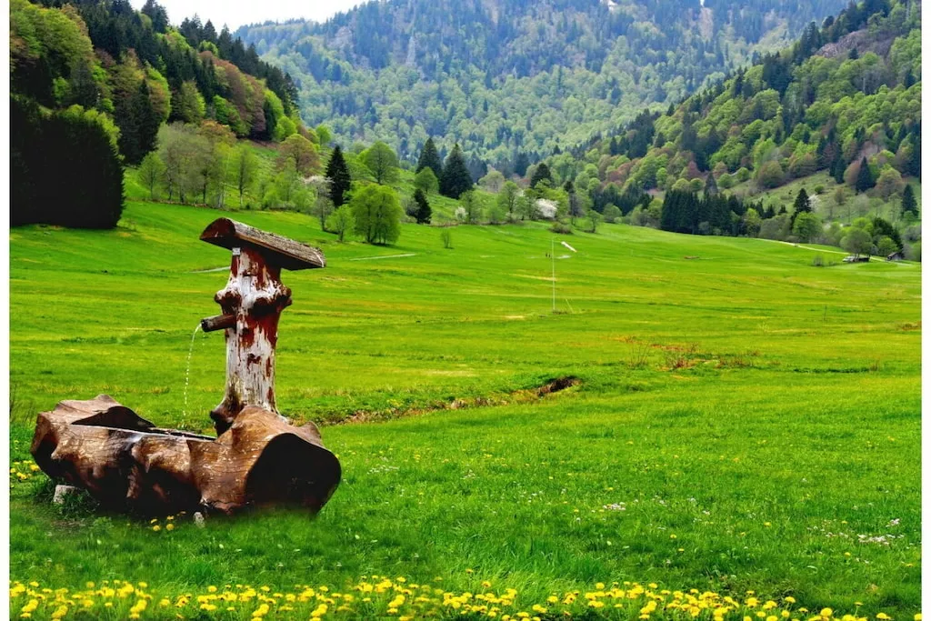 578755-Nicht zugeordnet