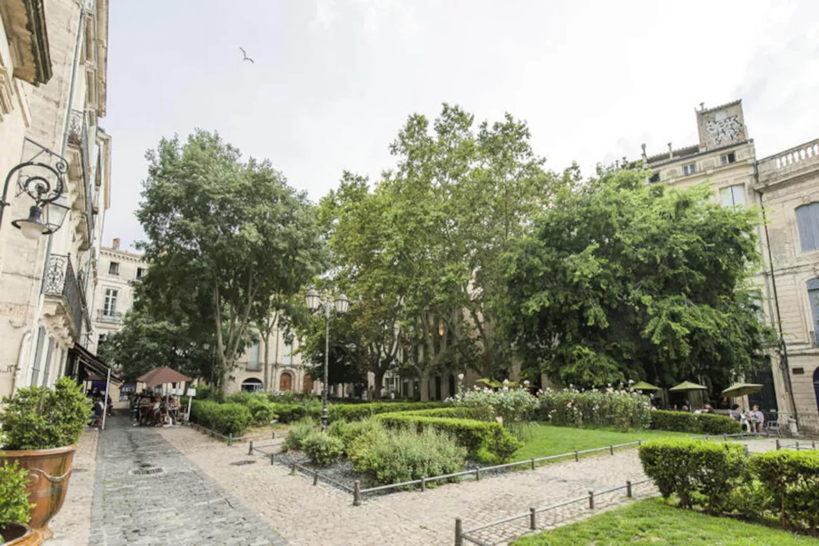 Appartements à Montpellier-Image-tags.