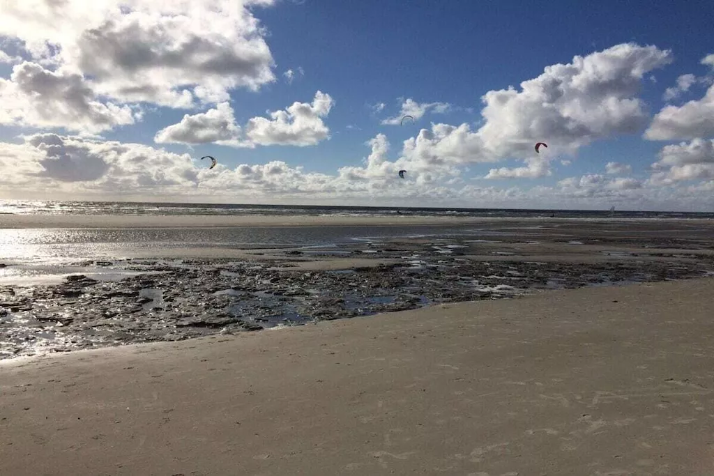 586985-Nicht zugeordnet