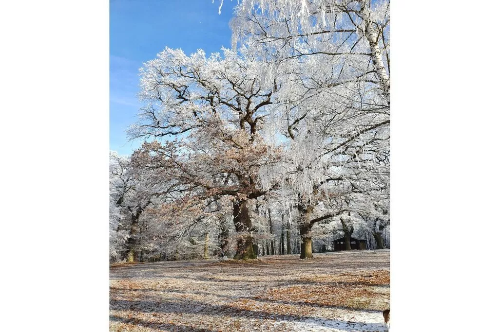 459081-Nicht zugeordnet