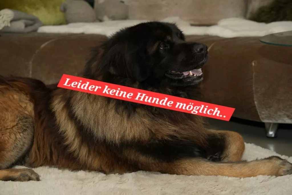 217173-Nicht zugeordnet