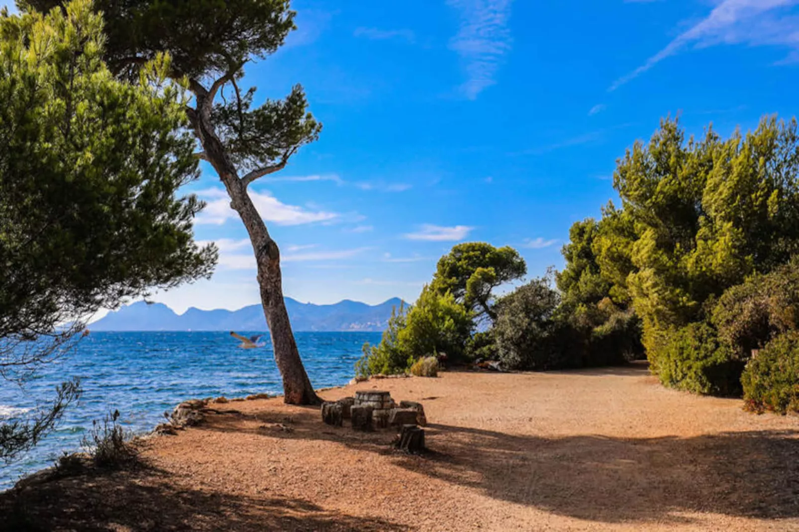 Résidence Coup De C&oelig;ur Vue Mer & Grande Terrasse ❤live In La Vista❤-Image-tags.