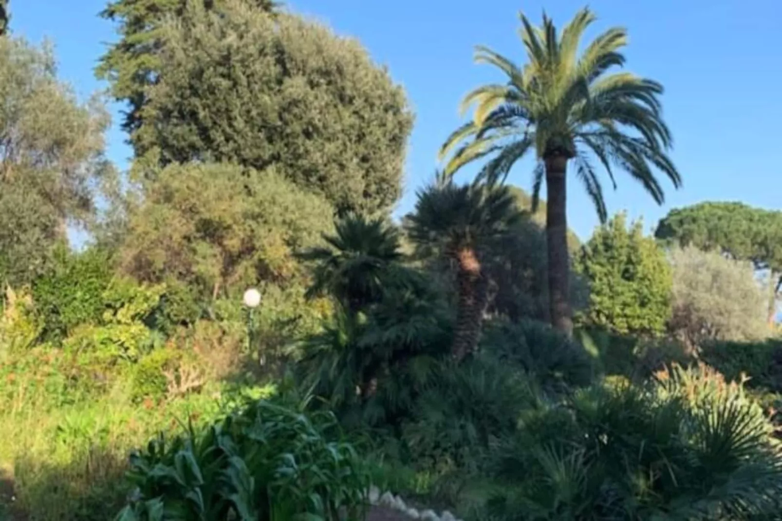 Résidence Bnb Renting 3 Pi&egrave;ces Avec Une Vue &agrave; Couper Le Souffle &agrave; Antibes !-Image-tags.