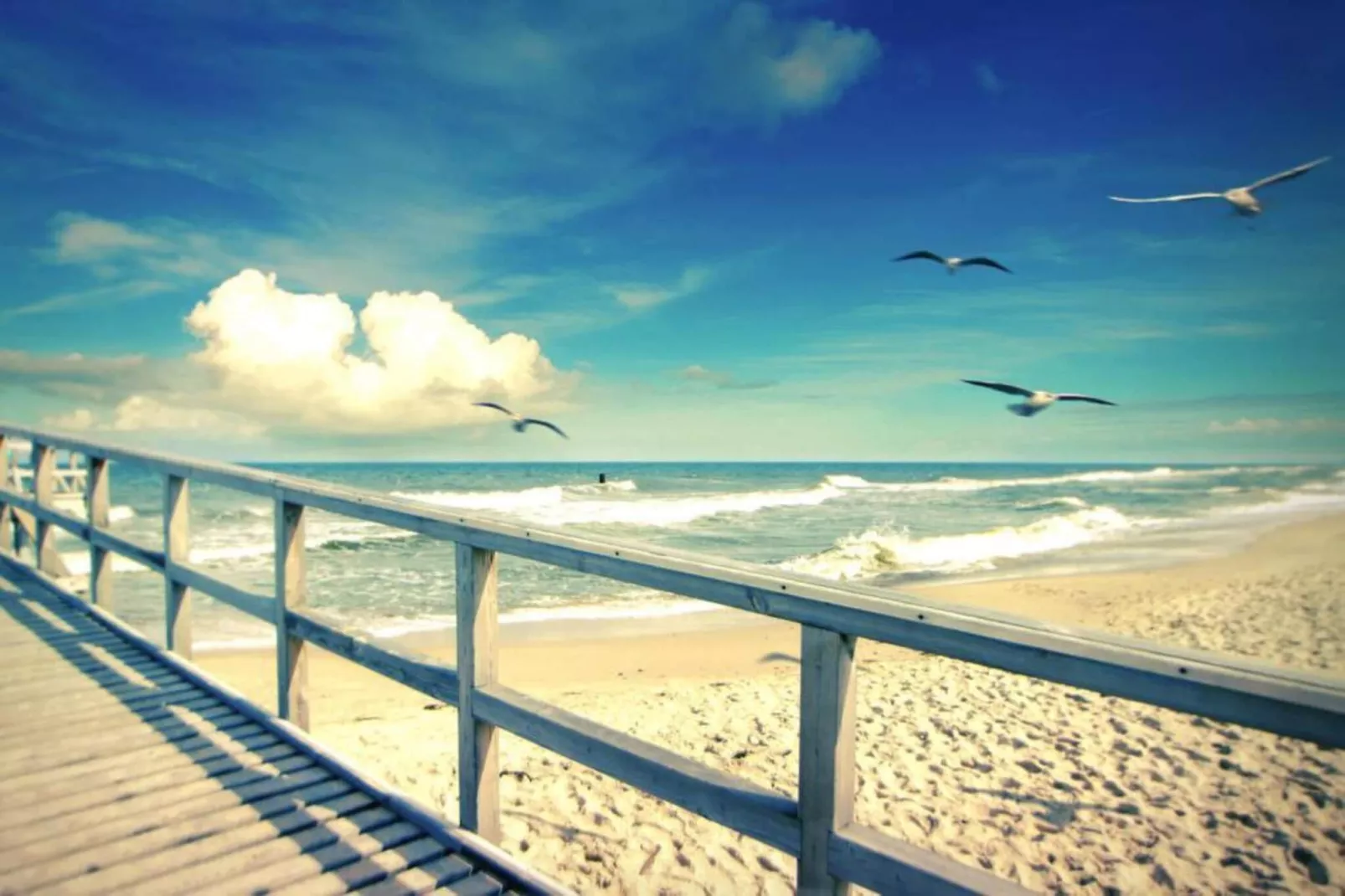 Dom MAŁY 43 m2 dla max 2 osób Sarbinowo-Areas within 20km in summer