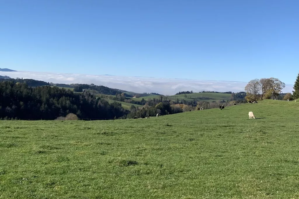 620952-Nicht zugeordnet