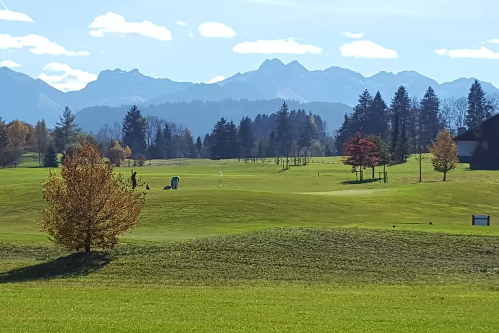 217173-Nicht zugeordnet