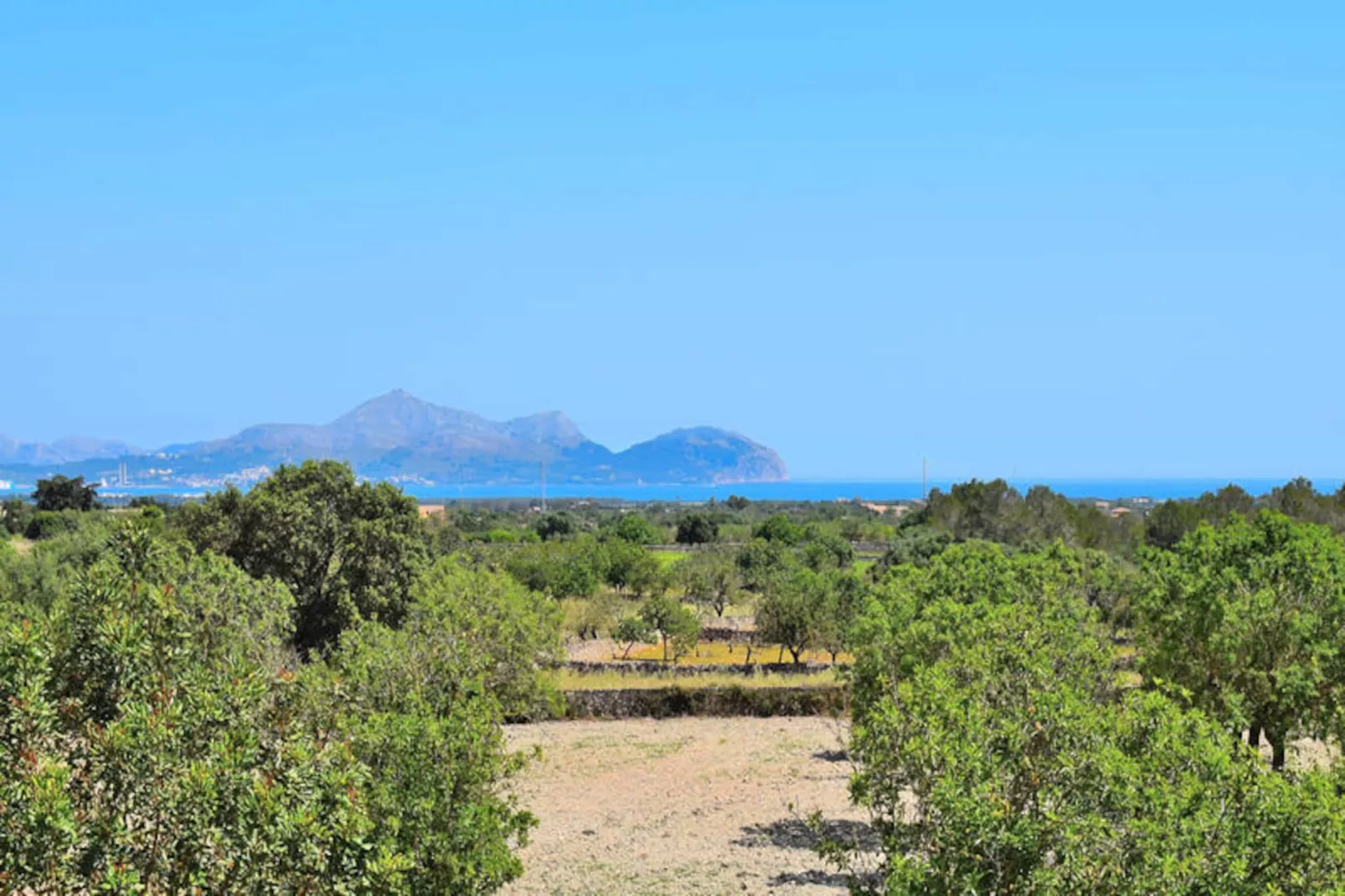 Maison à Santa Margalida-Image-tags.