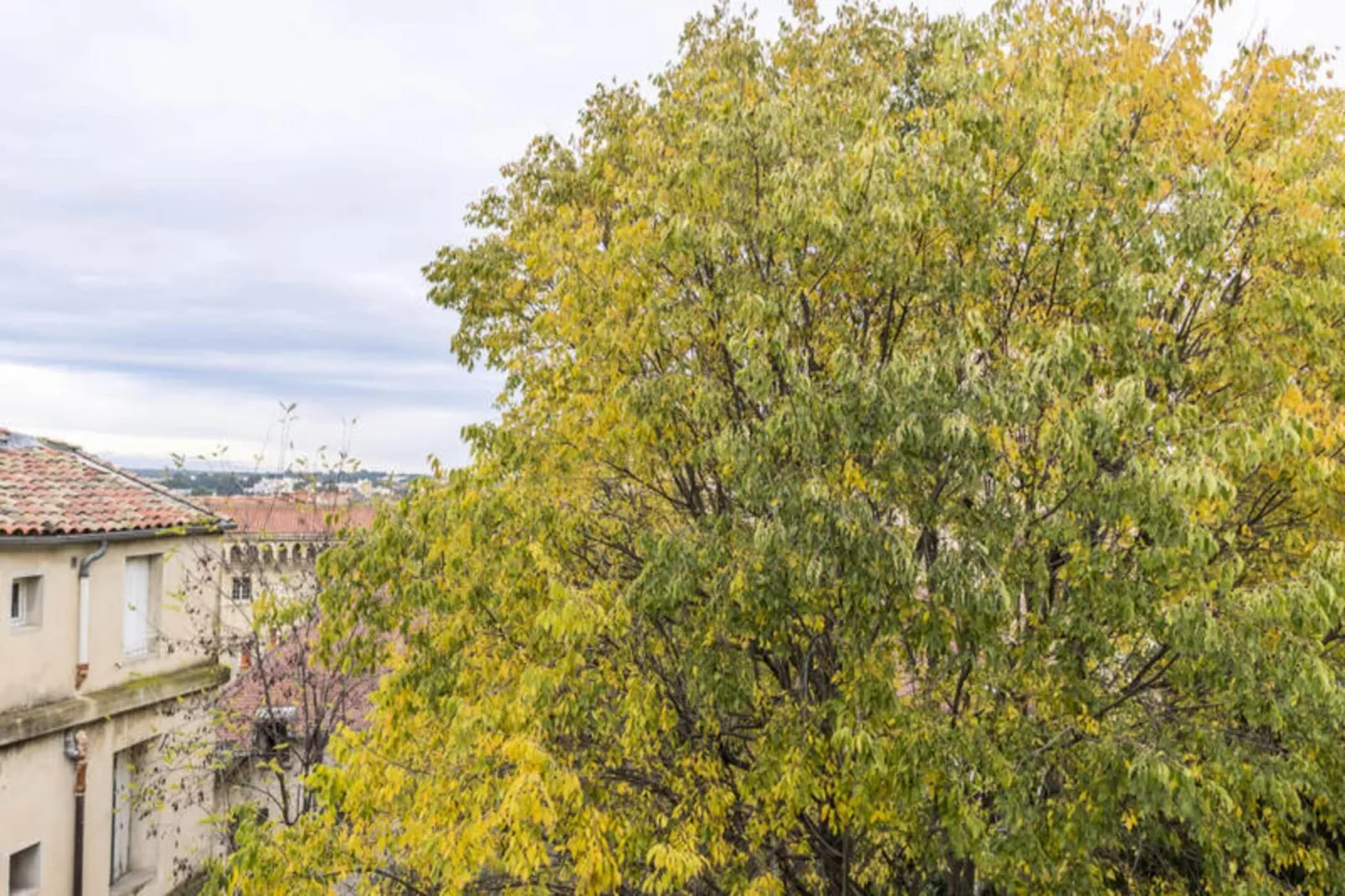 Appartements à Montpellier-Vue d'été