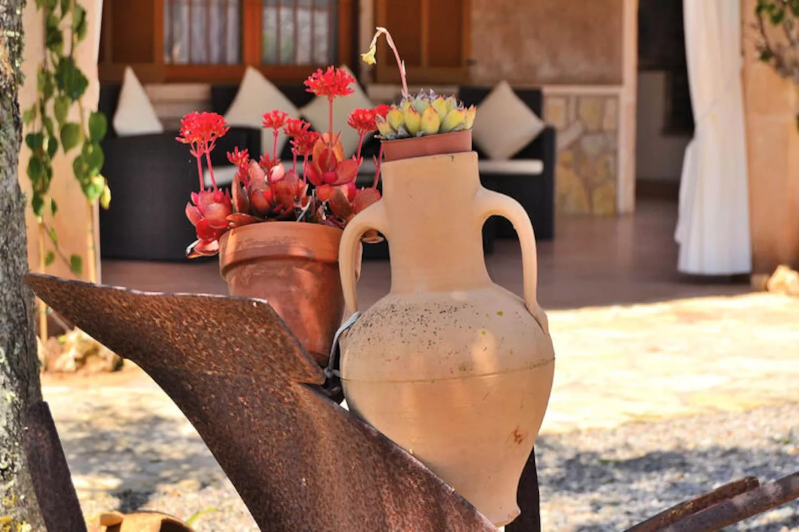 Maison à Santa Margalida-Image-tags.