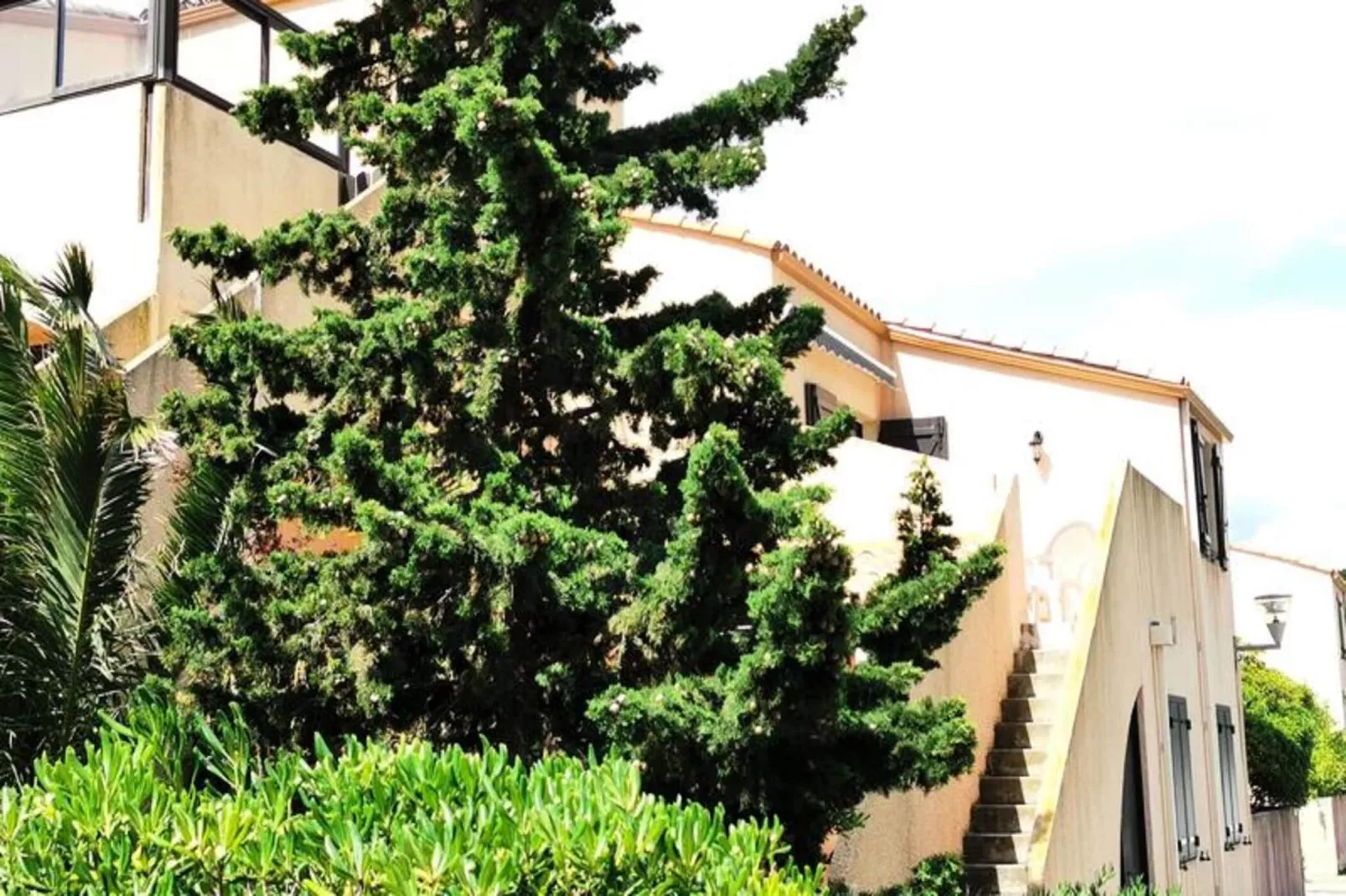 Résidence Equateur-View in summer