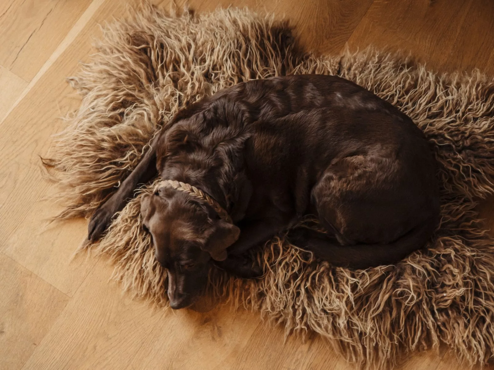 Royal Mountain Lodge-Inside