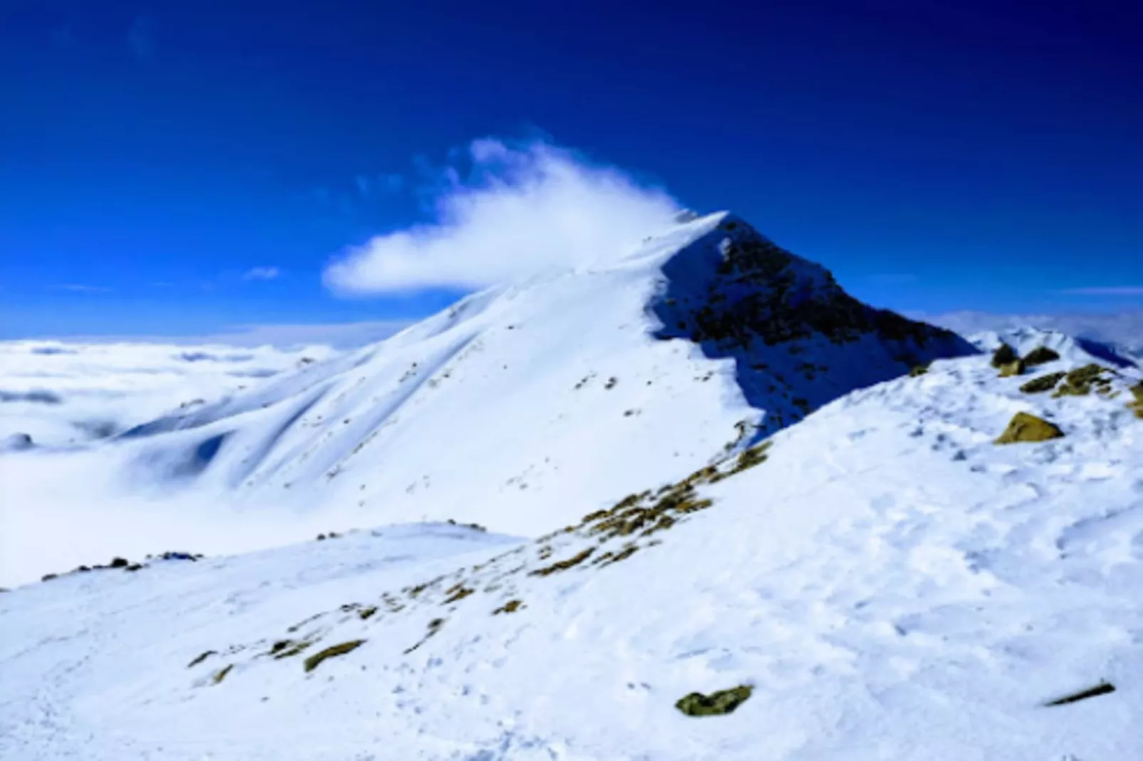 Résidence Colchiques - Area within 5km in winter