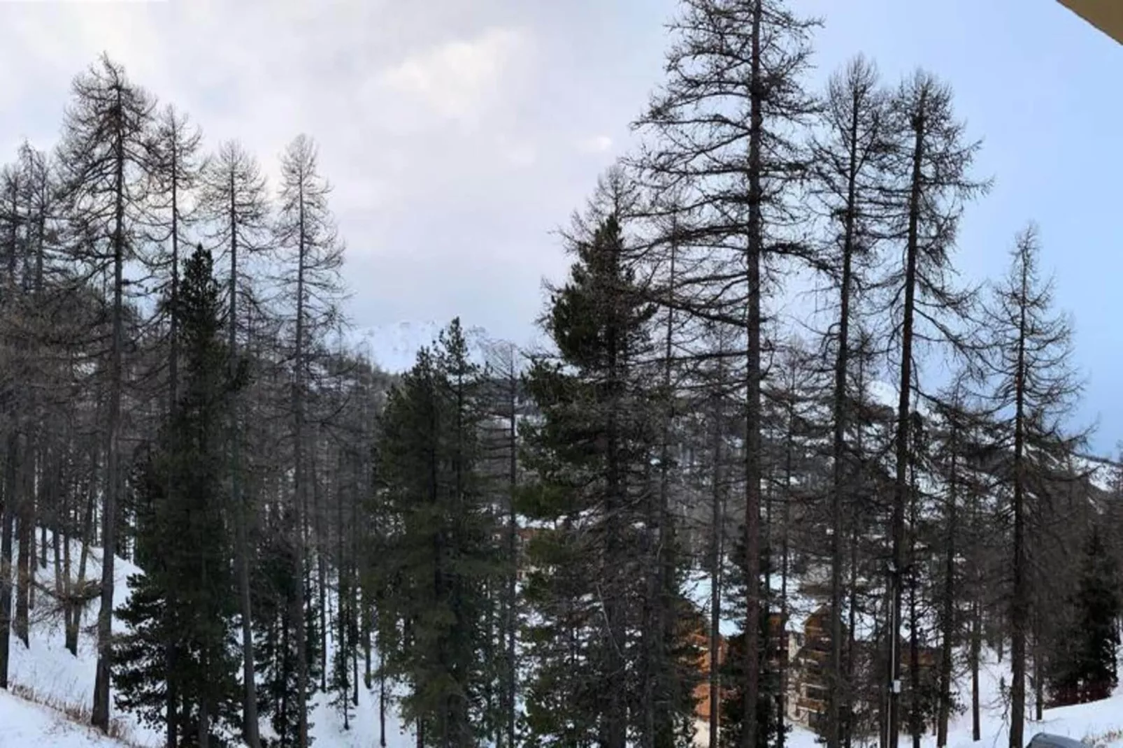 Résidence Pastourlet - Area within 5km in winter