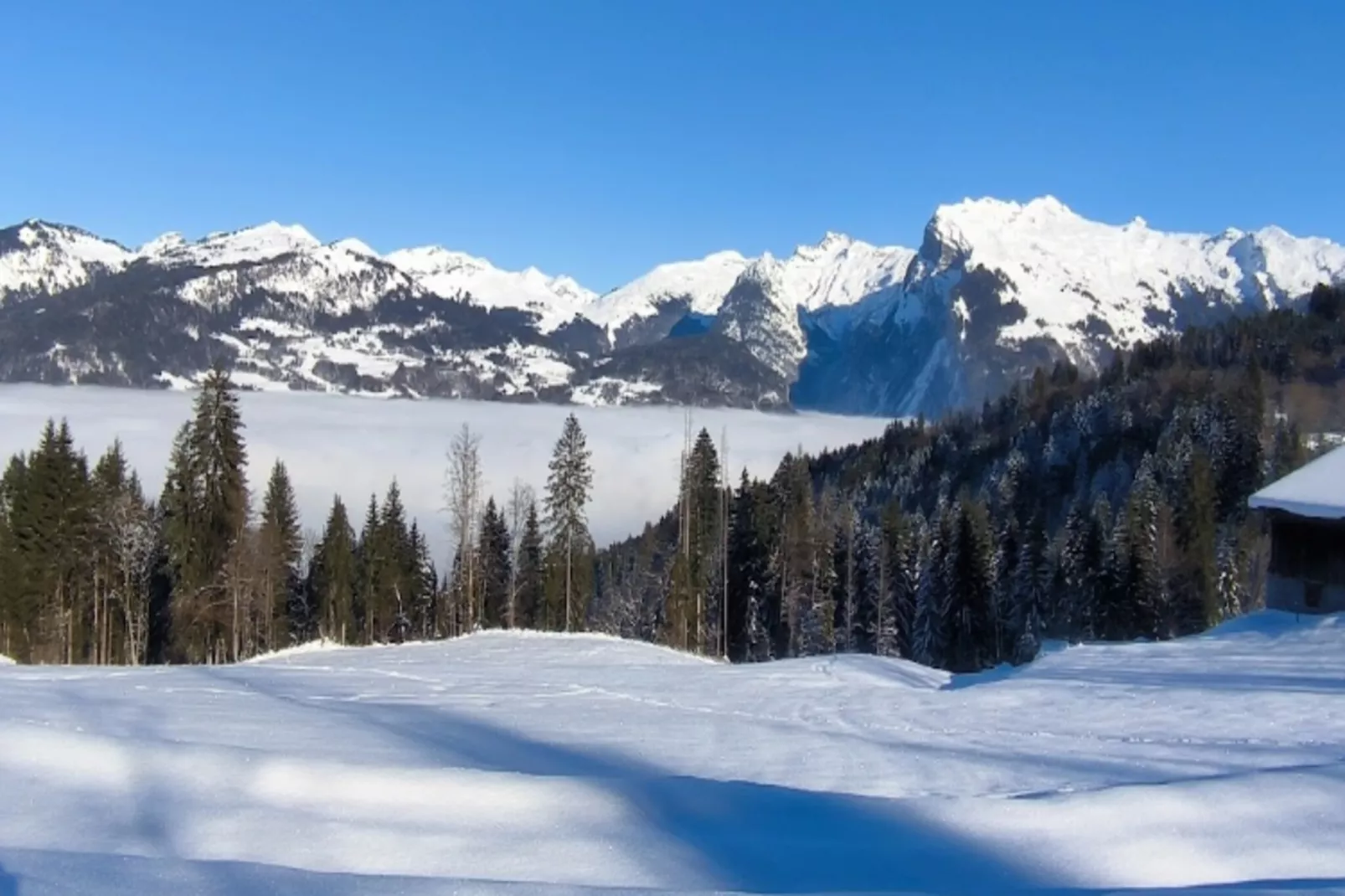 Résidence Malinvern C15-Area within 1km in winter