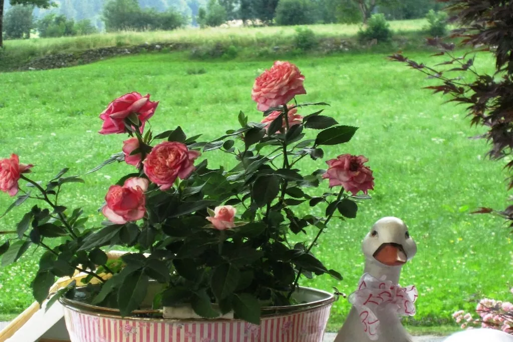 57495-Nicht zugeordnet