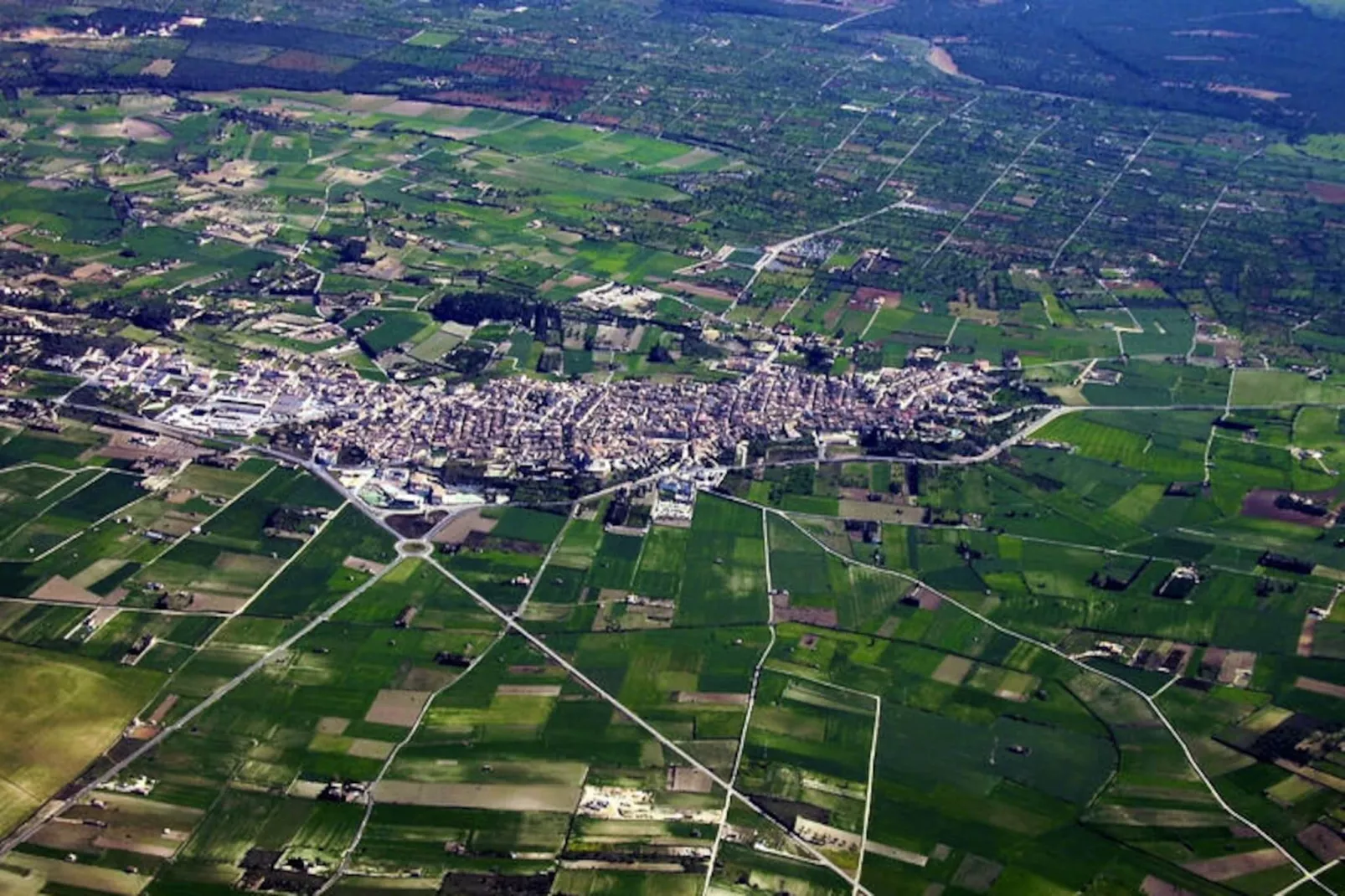 Maison à Santa Margalida-Image-tags.