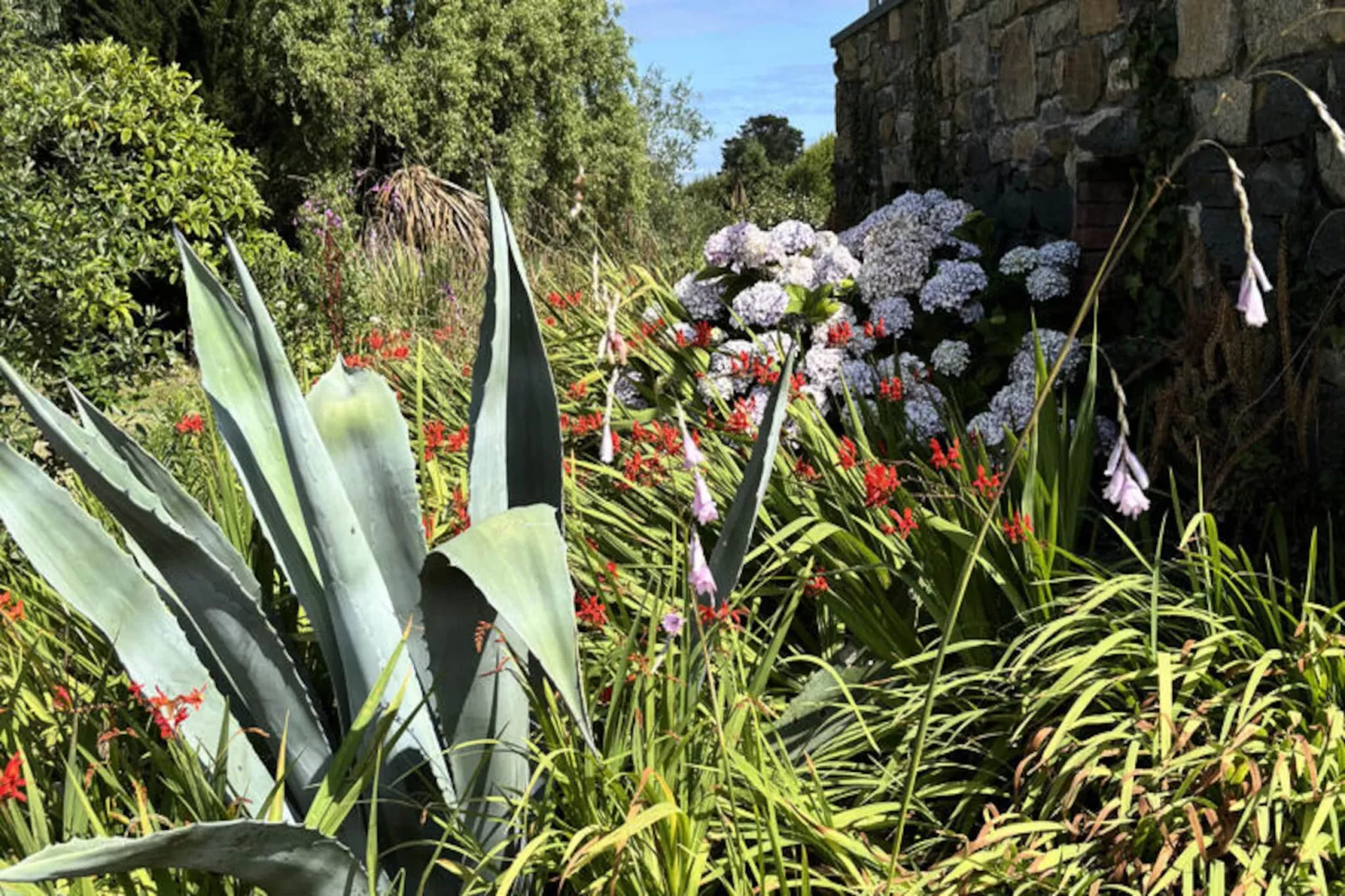 Maison à Plougrescant-Image-tags.