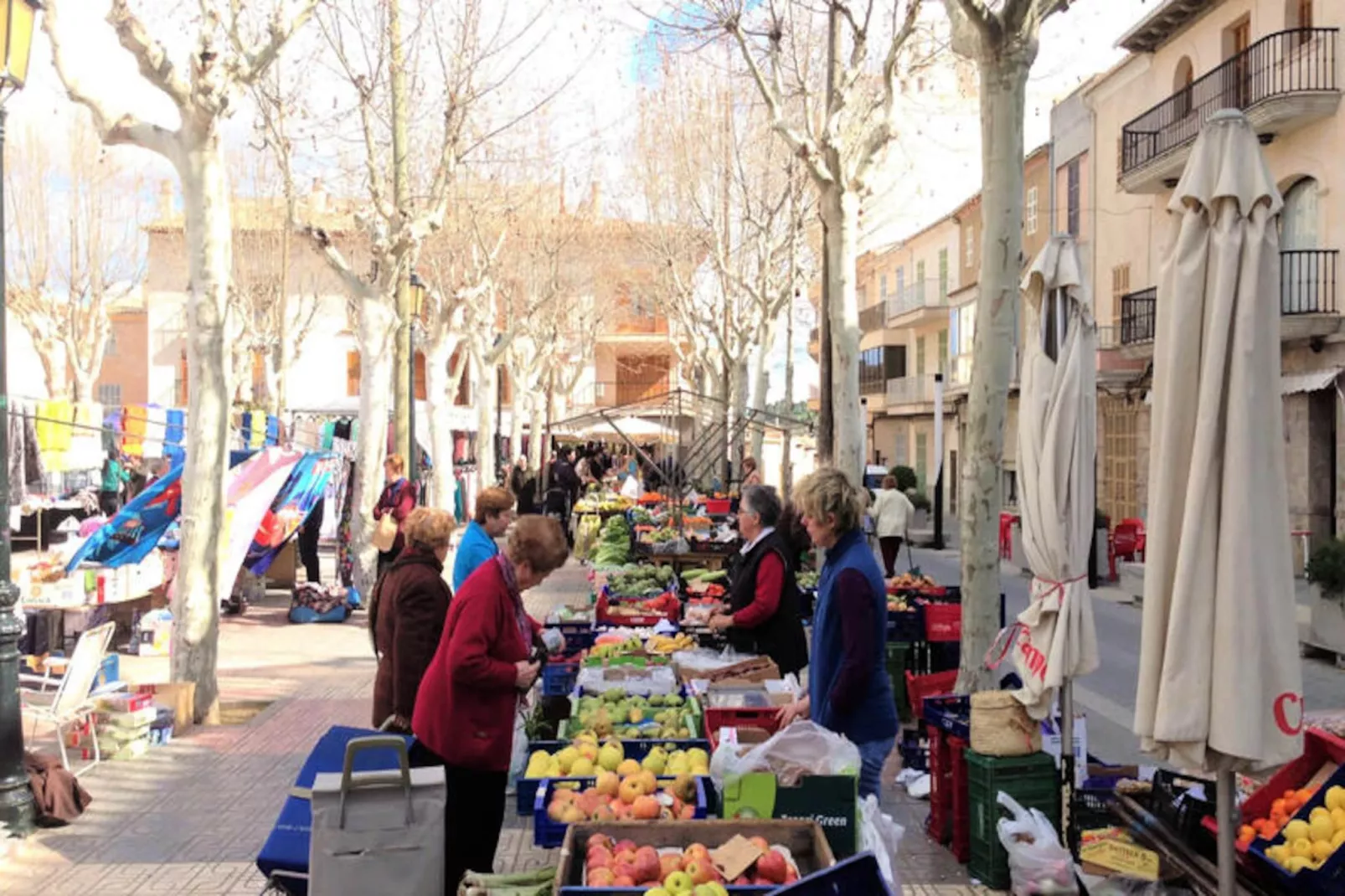 Maison à Santa Margalida-Image-tags.