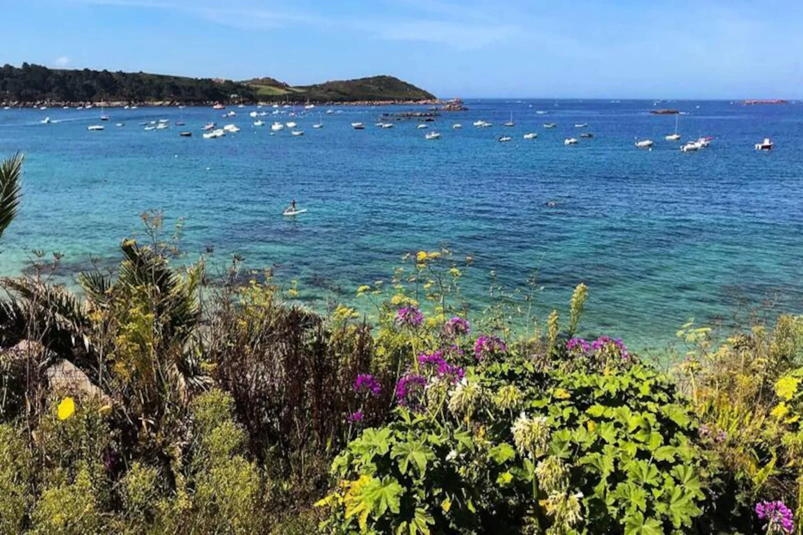 Maison à Trebeurden-Image-tags.