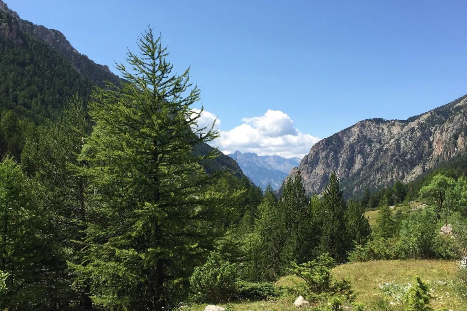 Résidence Cuzco-Außenbereich Sommer