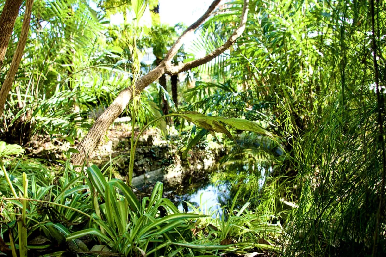 Résidence We &hearts; Cannes !  R&eacute;sidence Gallia , Appartement 2 Chambres Haut De Gamme-Ambiente