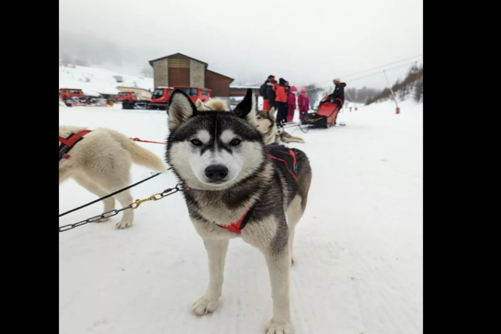 Résidence Génépi 301-Gebiet Winter 5 km