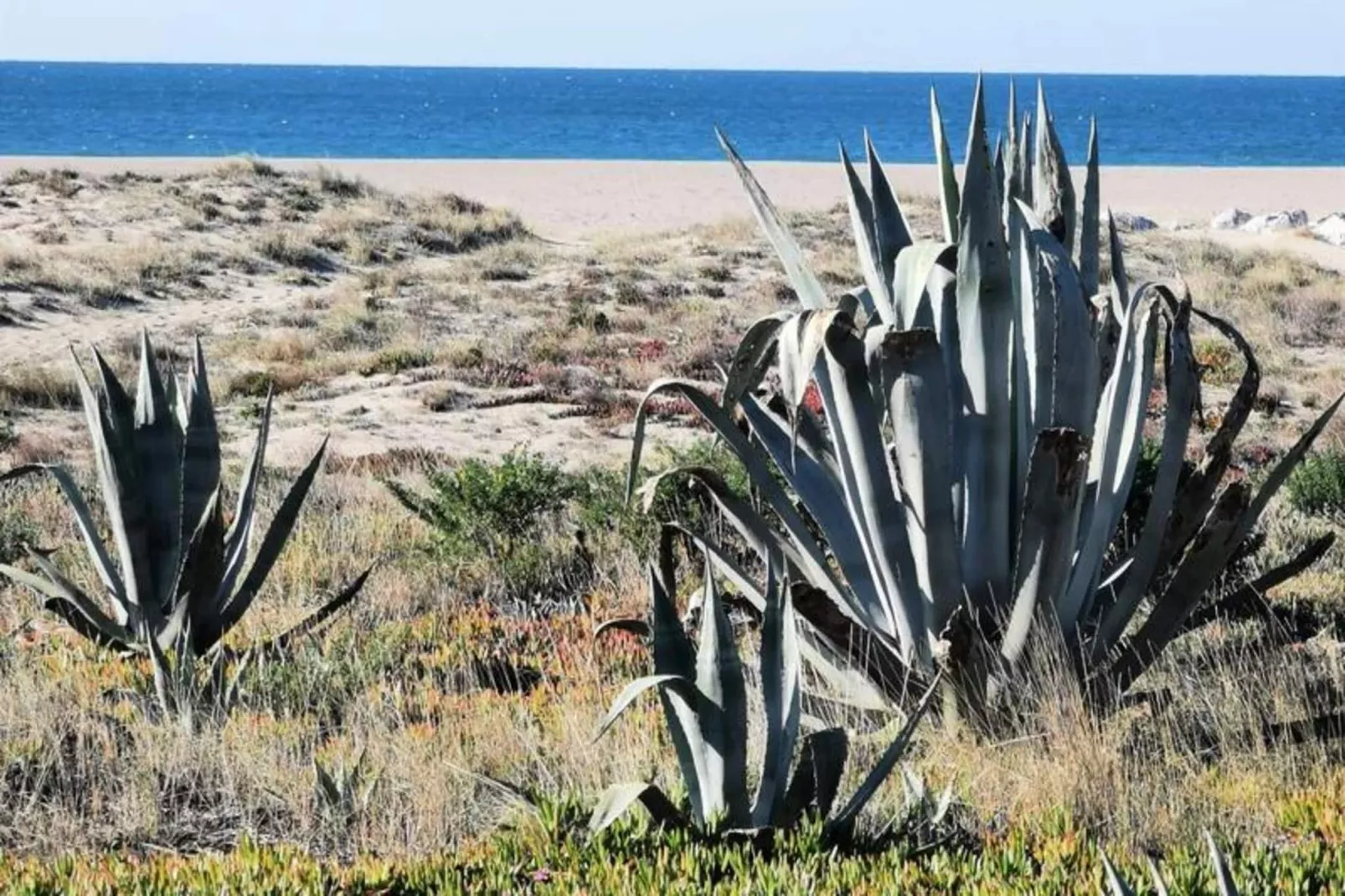 Résidence Maisons De La Mer 2-Zones été à 20 km