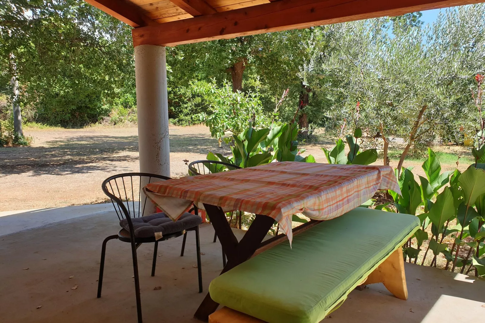 App Musoga 1-Terrace balcony