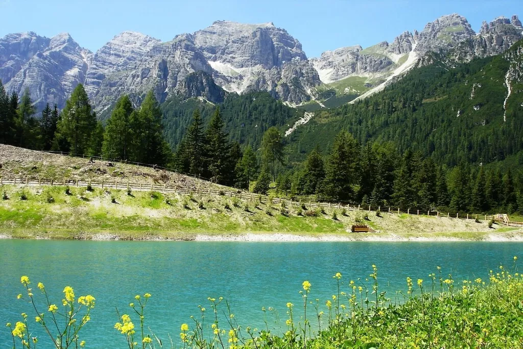 81818-Nicht zugeordnet