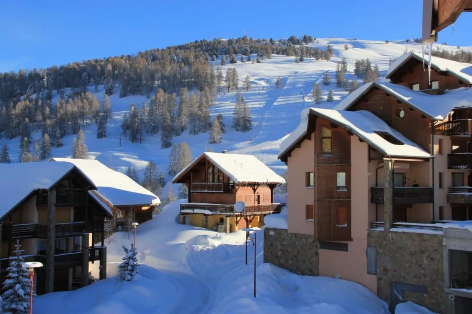 Résidence Mouflons - Area within 5km in winter