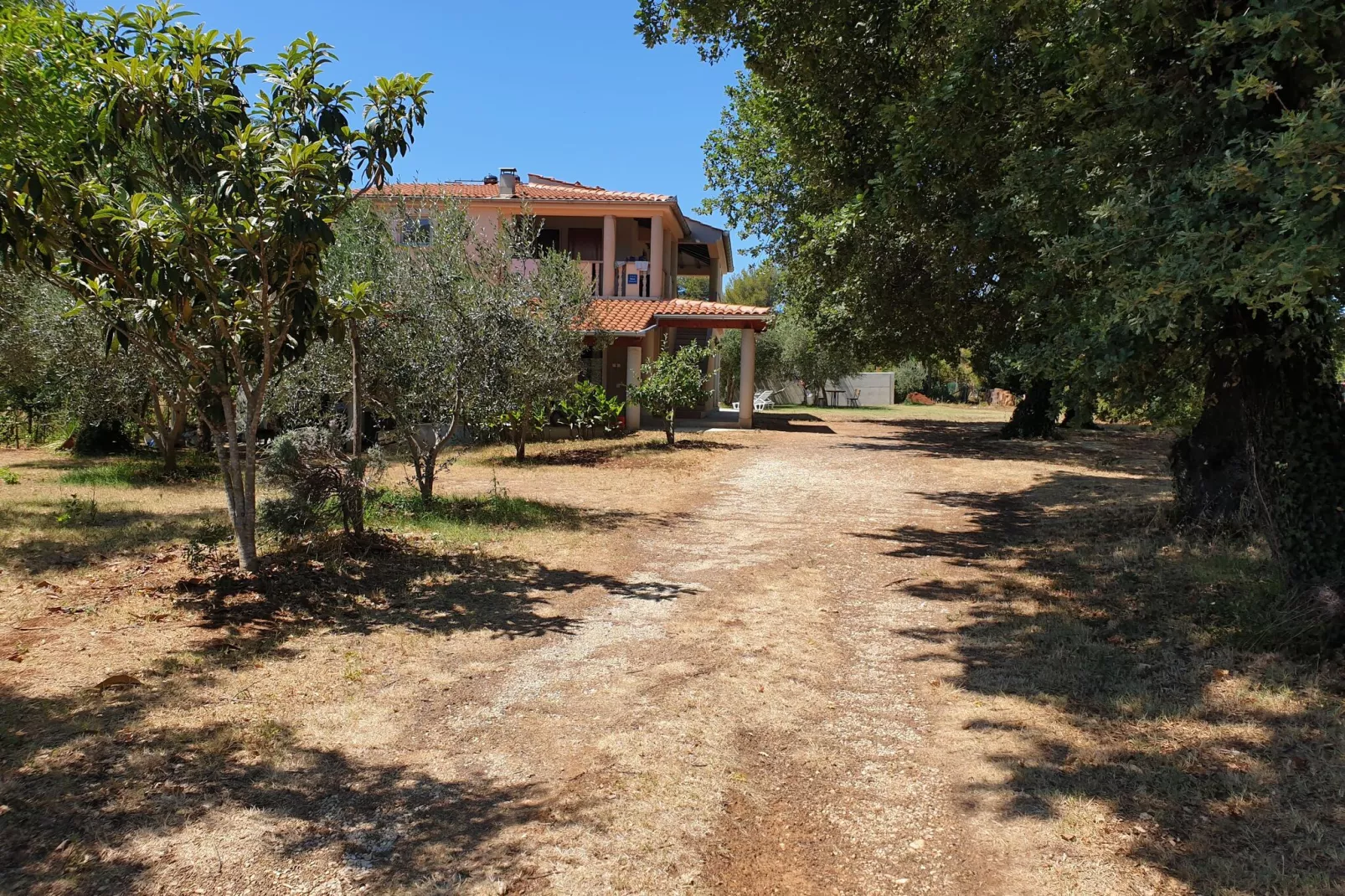 App Musoga 3-Exterior summer