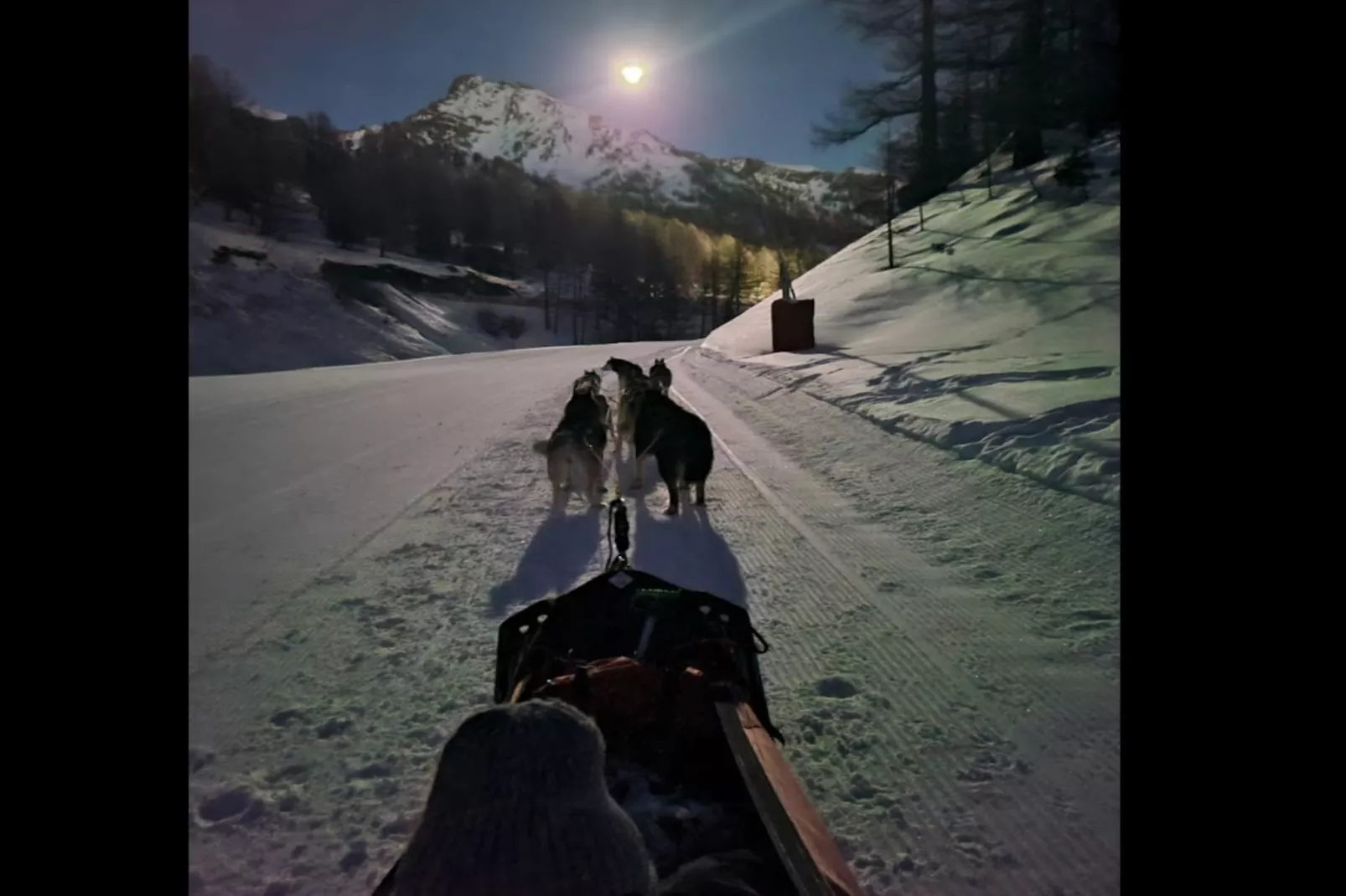 Résidence Génépi 301-Gebiet Winter 5 km