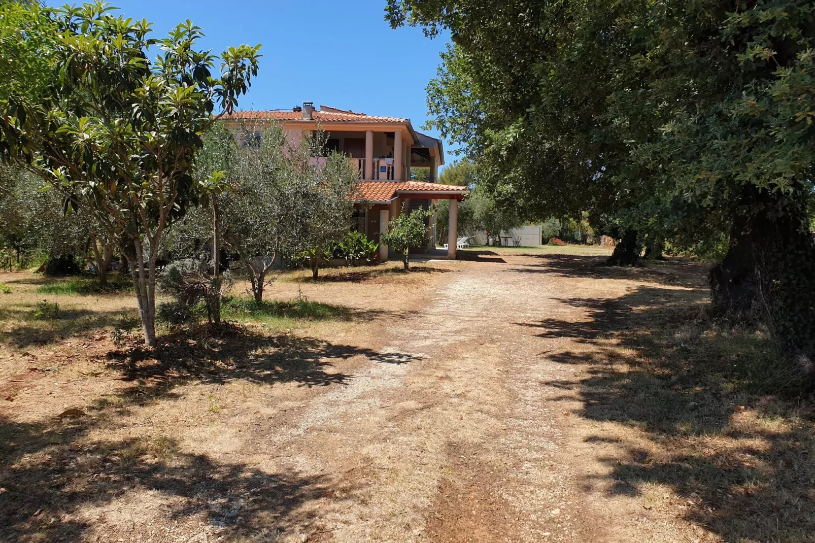 App Musoga 4-Exterior summer