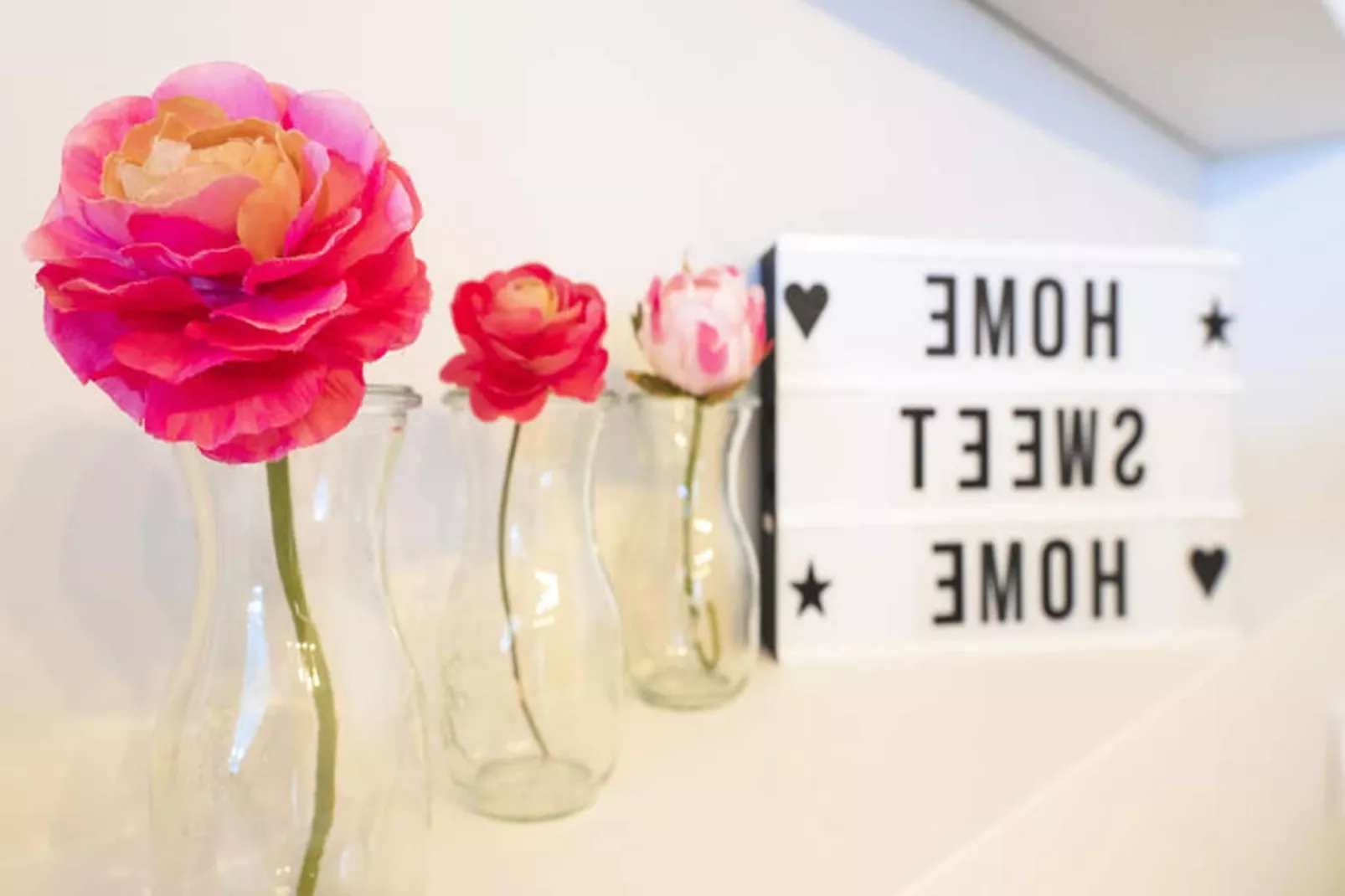 Appartements à Palavas-les-Flots-Ambiance