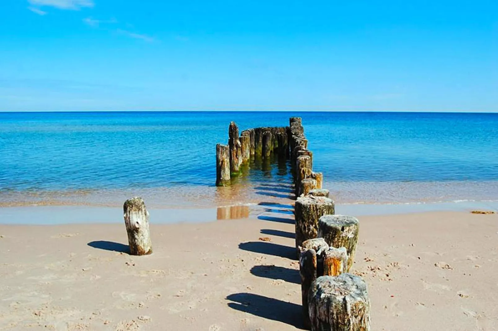 Dom MARCO POLO w Mielenku-Areas within 5km in summer