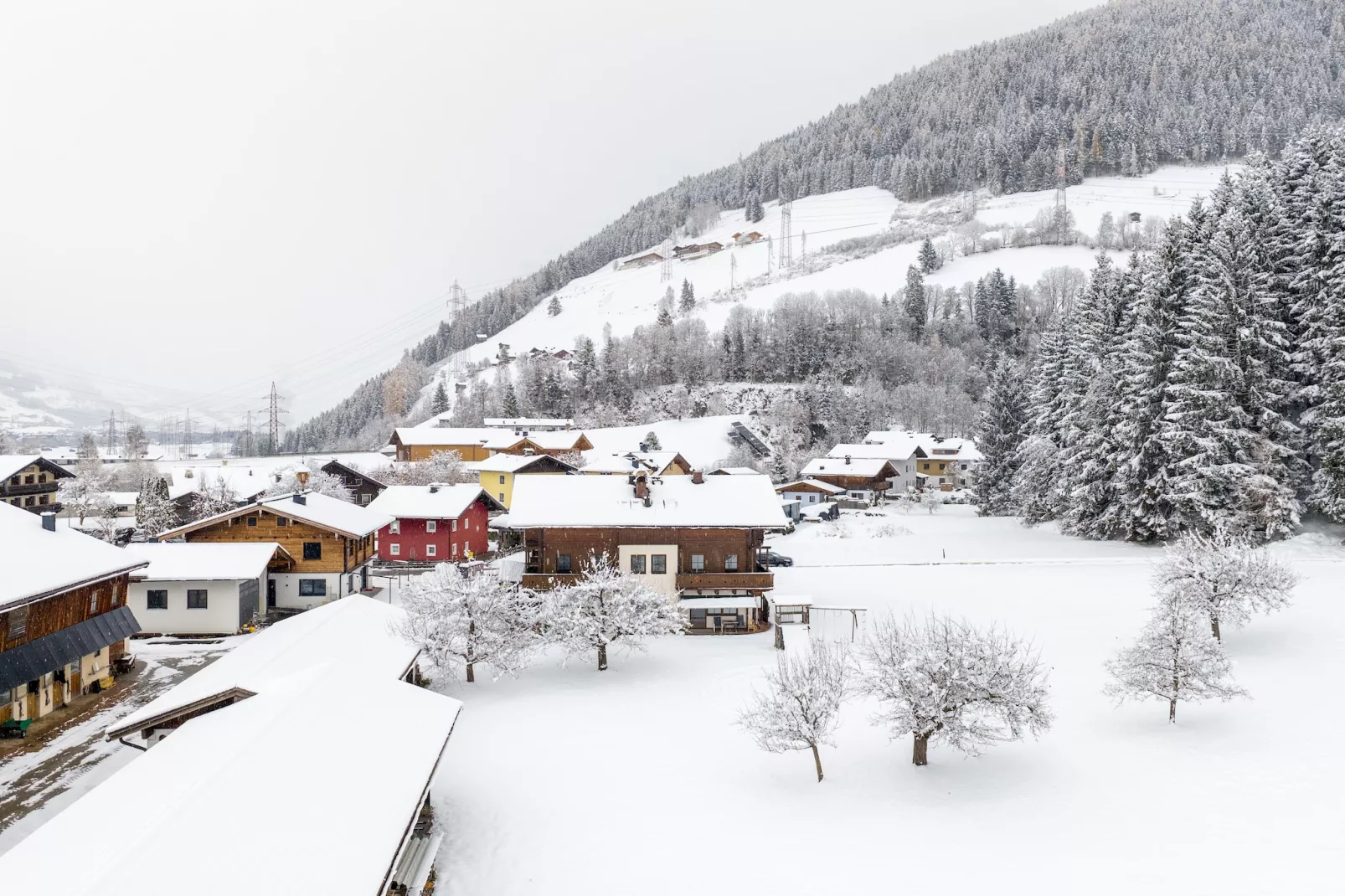 Apartment "Sonnberg & Schattberg"-Area within 1km in winter