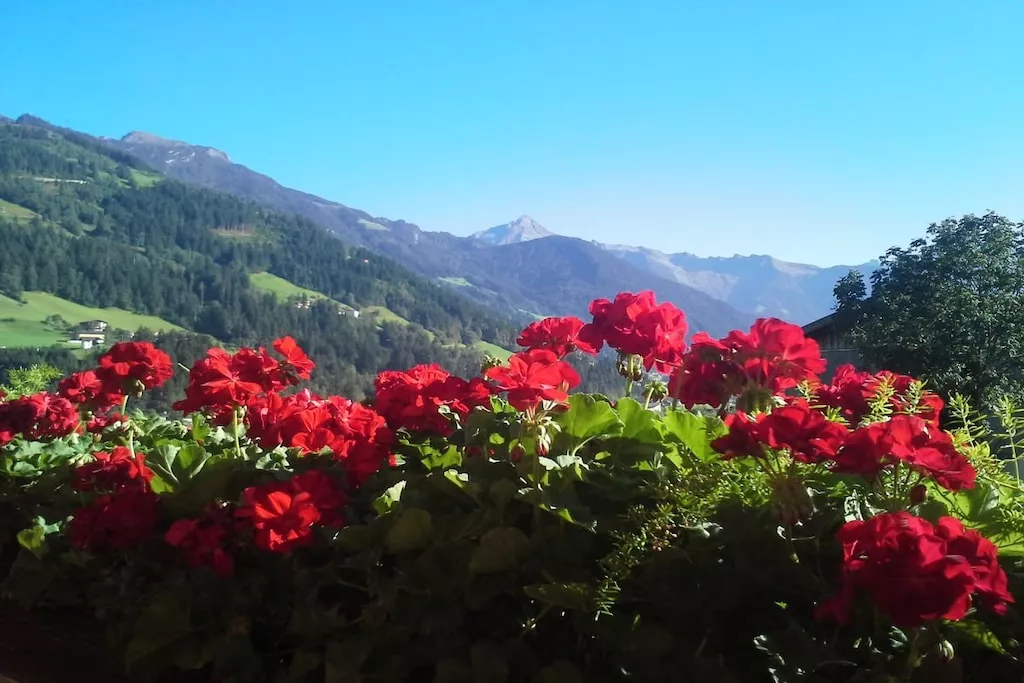 57495-Nicht zugeordnet