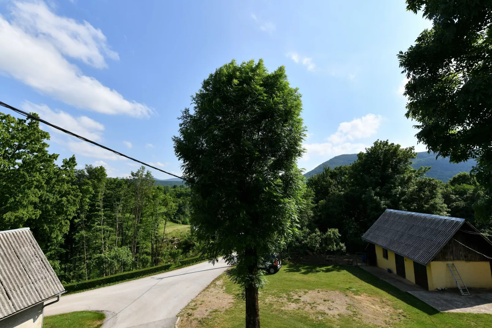 Apartment House Jelena-View summer