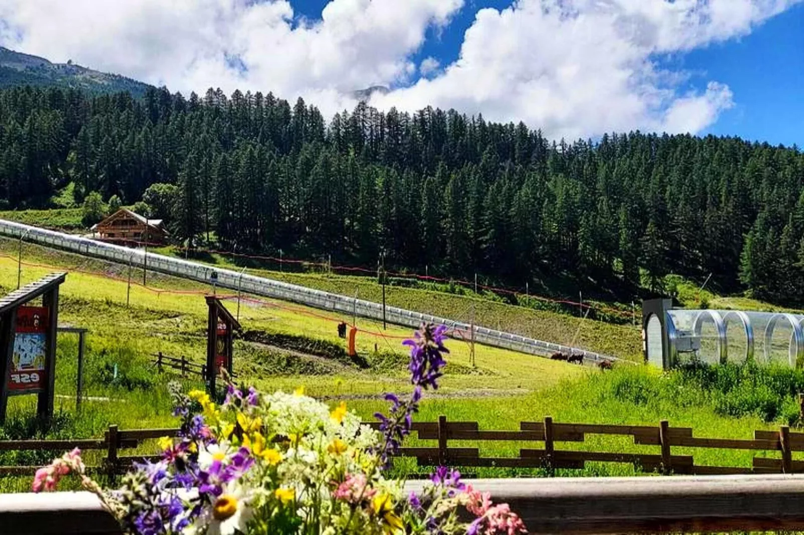 Résidence Le Parc Des Airelles - Gebiete Sommer 1 km
