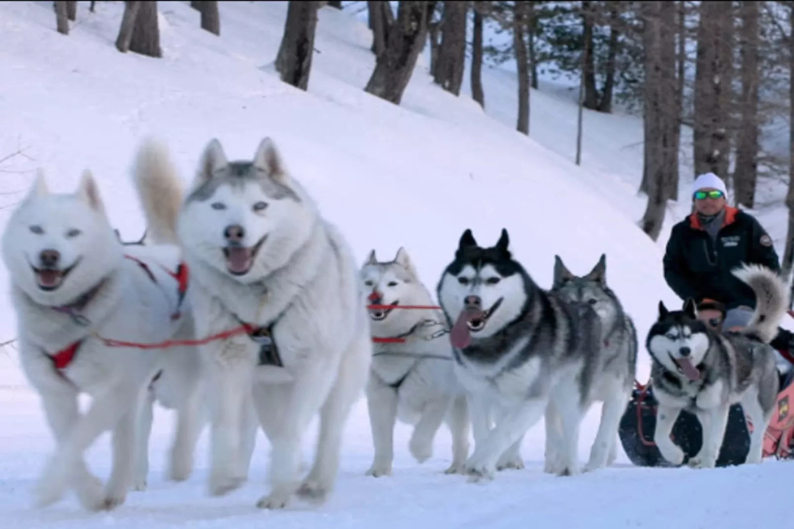 Résidence Génépi 301-Gebiet Winter 5 km