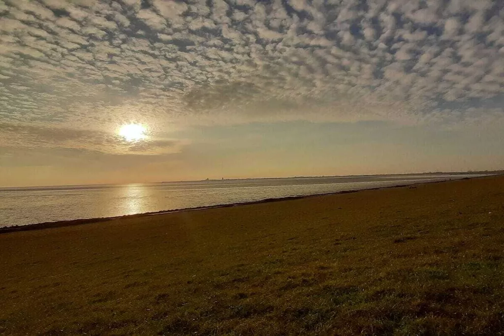 485583-Nicht zugeordnet