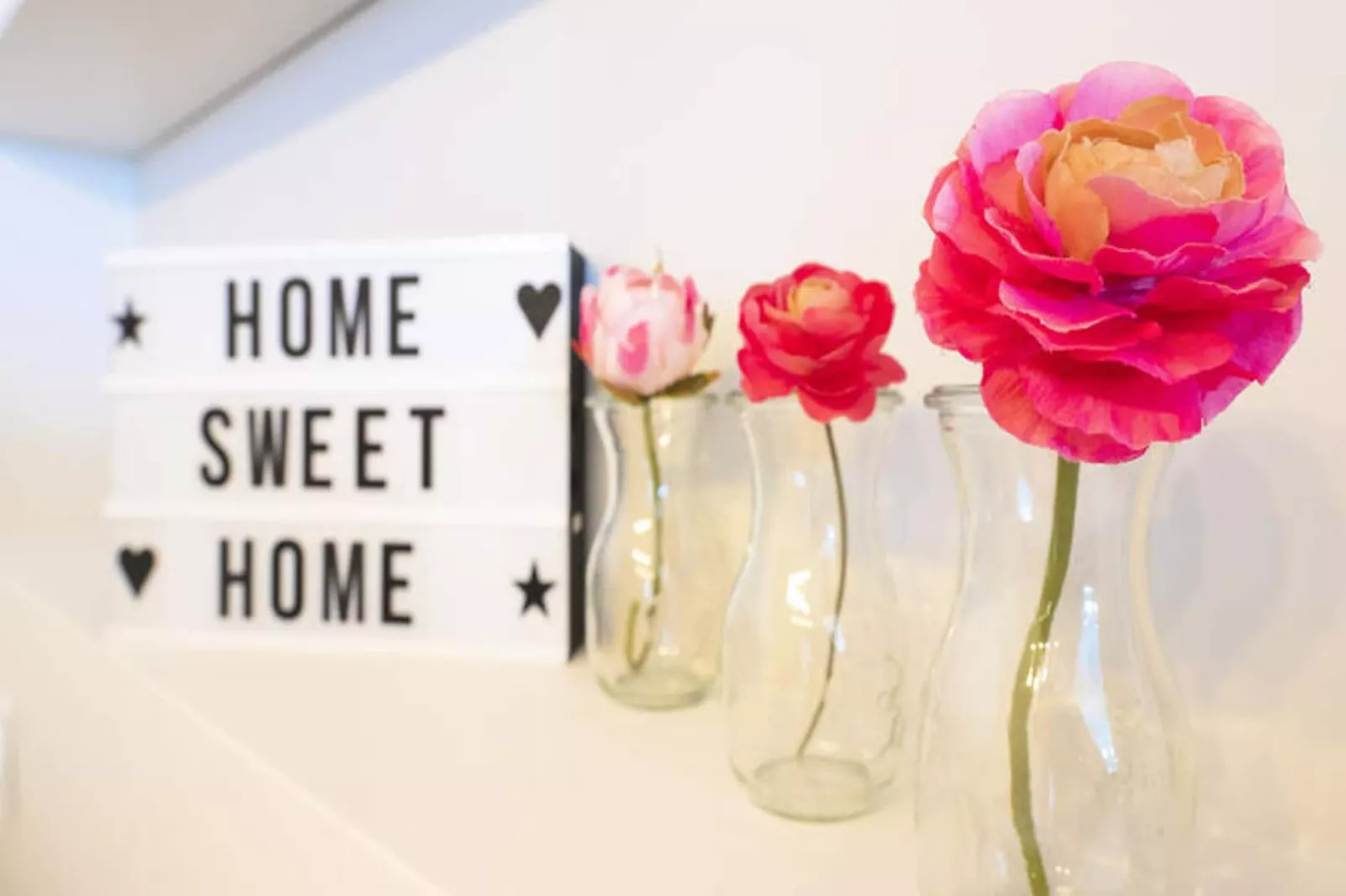 Appartements à Palavas-les-Flots-Ambiance