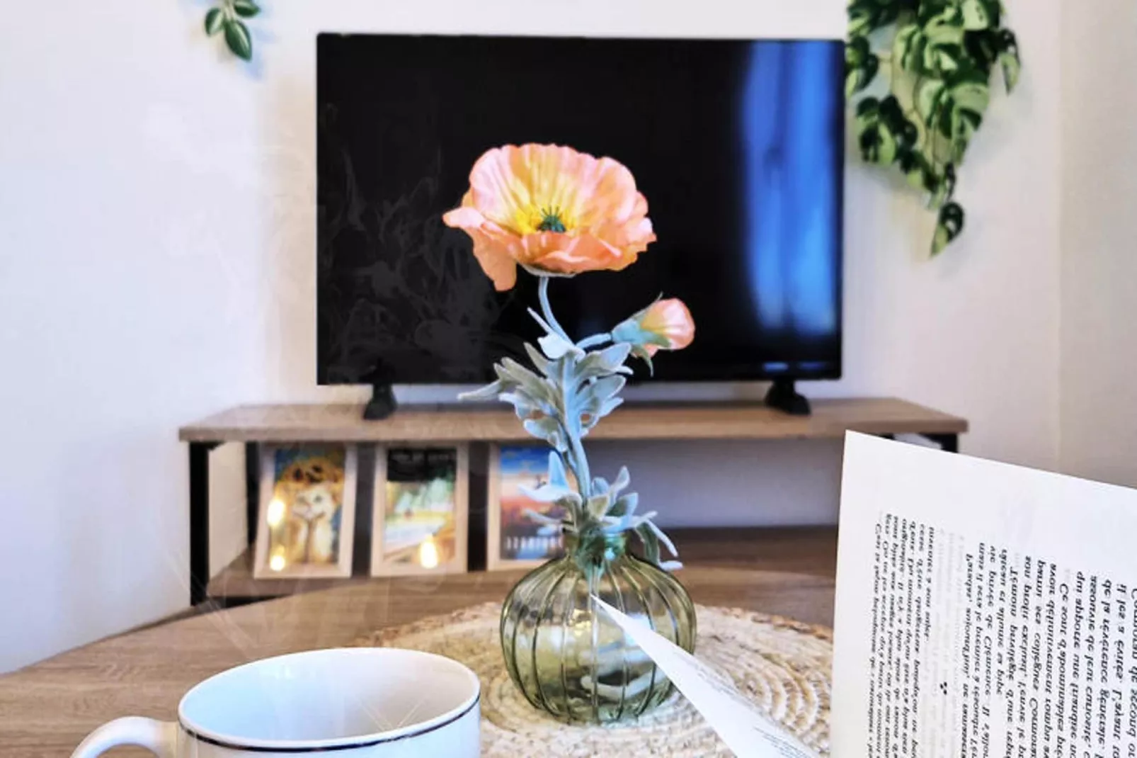 Studio à Toulouse-Ambiente