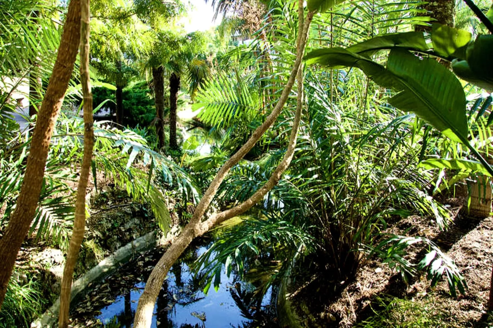 Résidence We &hearts; Cannes !  R&eacute;sidence Gallia , Appartement 2 Chambres Haut De Gamme-Ambiente