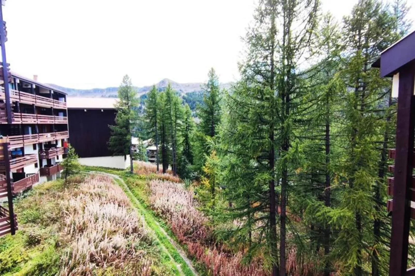 Résidence Primeveres 504-Außenbereich Sommer