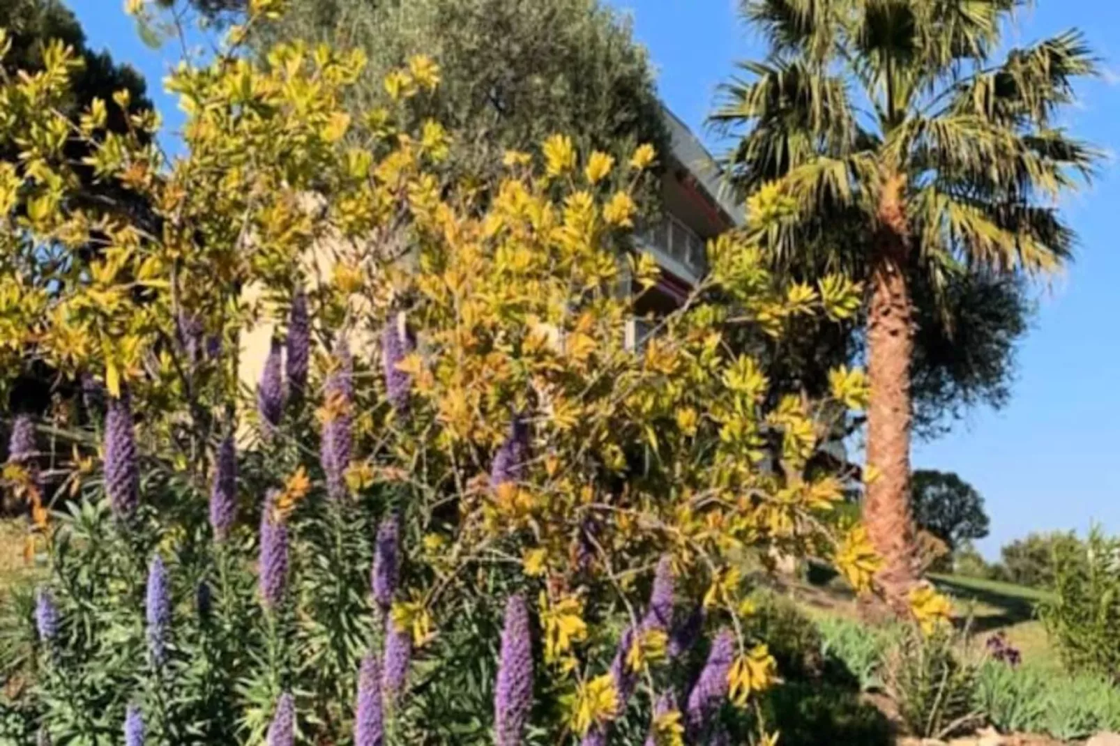 Résidence Bnb Renting 3 Pi&egrave;ces Avec Une Vue &agrave; Couper Le Souffle &agrave; Antibes !-Image-tags.